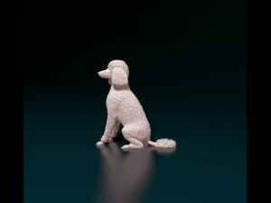 Poodle 04 Modelo de Impressão 3D