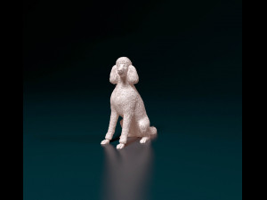 Poodle 04 Modelo de Impressão 3D