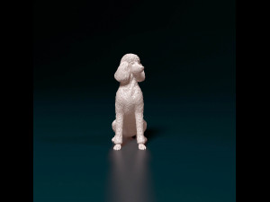 Poodle 04 Modelo de Impressão 3D