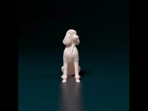 Poodle 04 3D Print Model