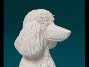 Poodle 04 3D Print Model