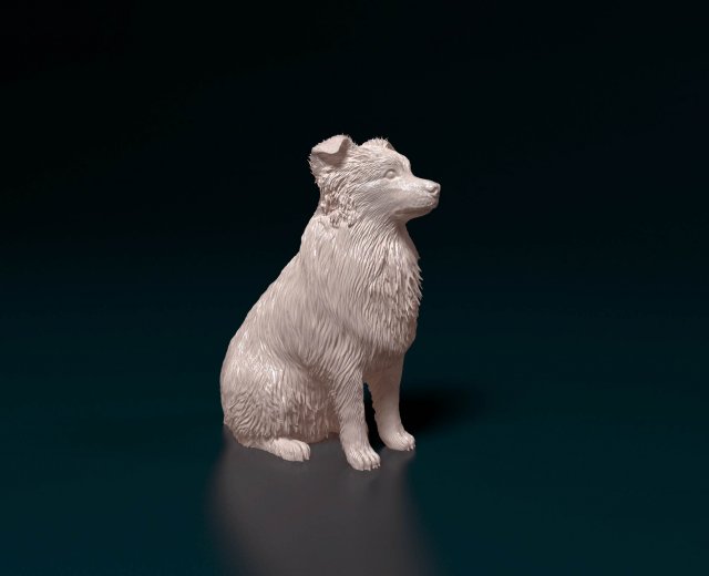 Aussie 05 Model Cetak 3D .c4d .max .obj .3ds .fbx .stl .blend 