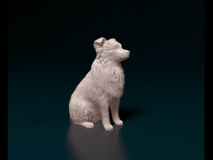 Aussie 05 3D Print Model