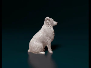 Aussie 05 3D Print Model