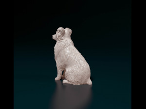 Aussie 05 Model Cetak 3D