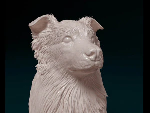 Aussie 05 3D Print Model