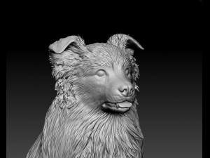 Aussie 05 Model Cetak 3D