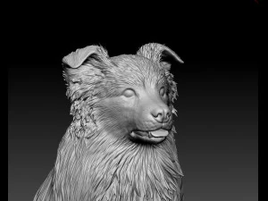 Aussie 05 3D Print Model