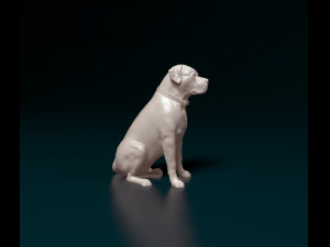 Scott American Bulldog 02 Modello di stampa 3D