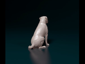 Scott American Bulldog 02 Modello di stampa 3D