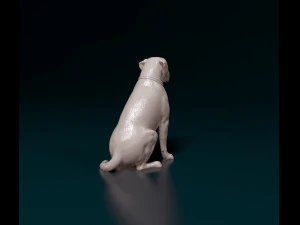 Scott American Bulldog 02 3D Print Model