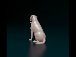 Scott American Bulldog 02 Modello di stampa 3D