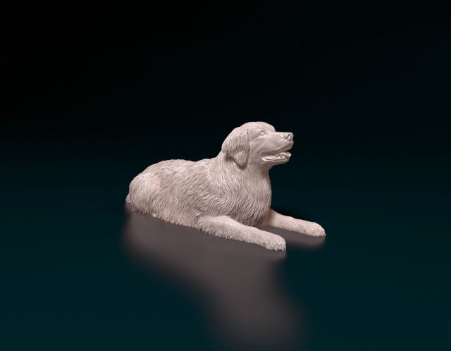 Golden retriever 06 Modelo de impresión 3D .c4d .max .obj .3ds .fbx .stl .blend 