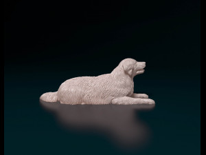 Golden retriever 06 Modelo de impresión 3D