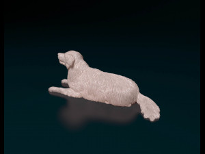 Golden retriever 06 Modelo de impresión 3D