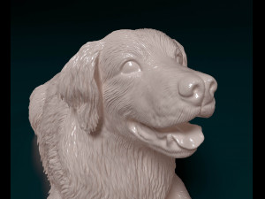 Golden retriever 06 Modelo de impresión 3D