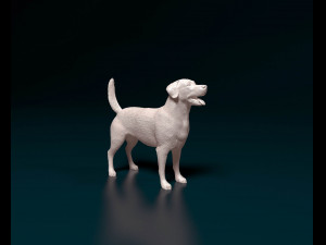 Labrador 04 3D Print Model