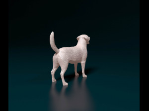 Labrador 04 Model Cetak 3D