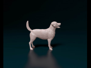 Labrador 04 Model Cetak 3D
