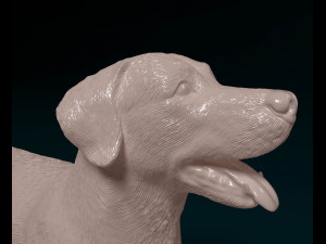 Labrador 04 Model Cetak 3D