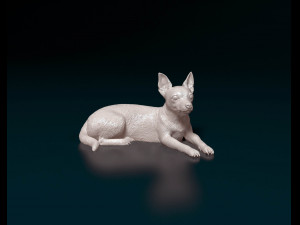 Chihuahua dog 03 3D Print Model