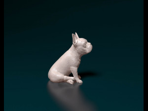 French bulldog 010 Modelo de Impressão 3D