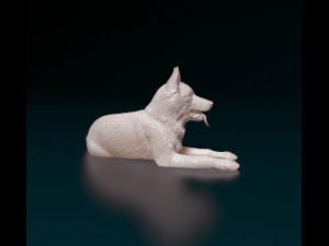 German shepherd 05 Model Cetak 3D