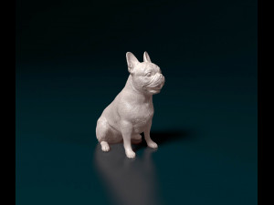 French bulldog 011 Modelo de impresión 3D