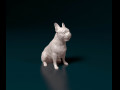 French bulldog 011 3D प्रिंट मॉडल