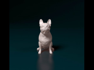 French bulldog 011 Modèles 3D en vedette