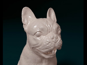 French bulldog 011 Modèles 3D en vedette
