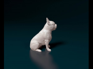 French bulldog 011 Modèles 3D en vedette