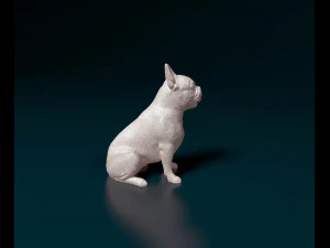 French bulldog 011 3D Print Model