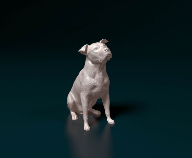 Pitbull 06 3D प्रिंट मॉडल .c4d .max .obj .3ds .fbx .stl .blend 