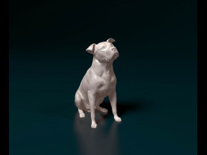 Pitbull 06 3D Print Model
