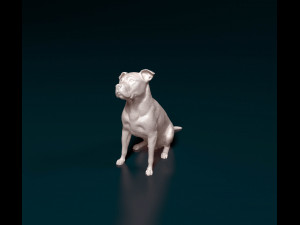Pitbull 06 3D प्रिंट मॉडल