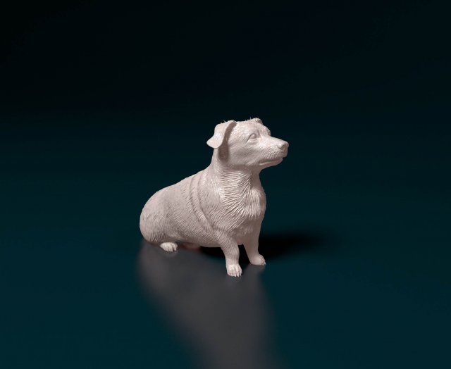 Corgi cross dog 3D प्रिंट मॉडल .c4d .max .obj .3ds .fbx .stl .blend 