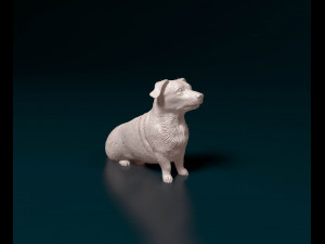 Corgi cross dog 3D Print Model