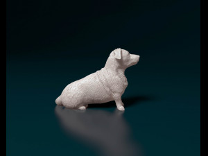 Corgi cross dog 3D प्रिंट मॉडल