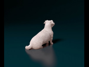 Corgi cross dog 3D प्रिंट मॉडल