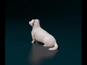 Corgi cross dog 3D Print Model