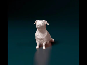 Corgi cross dog 3D Print Model