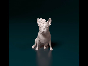 French bulldog 012 Modèles 3D en vedette