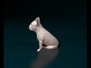 French bulldog 012 Modèles 3D en vedette