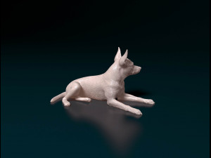 Miniature Pinscher 3D Print Model