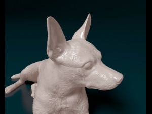 Miniature Pinscher 3D Print Model