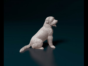 Catalan Sheepdog Modelo de Impressão 3D