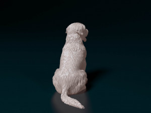 Catalan Sheepdog Modelo de Impressão 3D