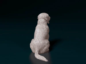 Catalan Sheepdog 3D Print Model
