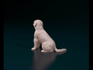 Catalan Sheepdog Modelo de Impressão 3D